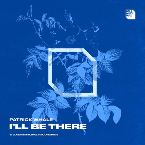 Release of the week