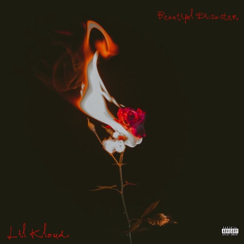 Beautiful Disaster