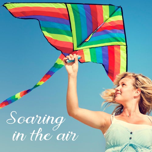 Soaring In The Air