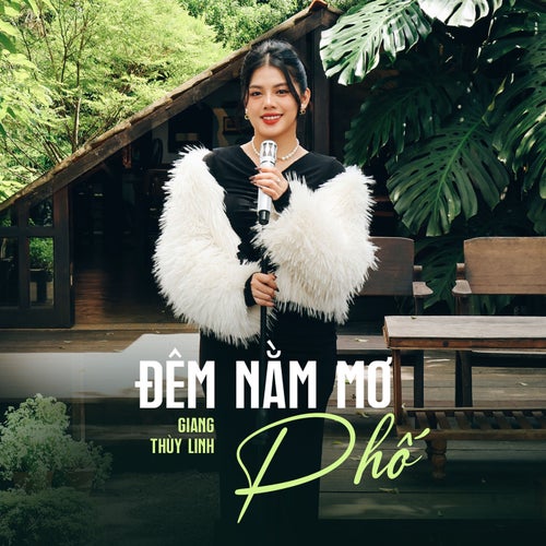 Đêm Nằm Mơ Phố