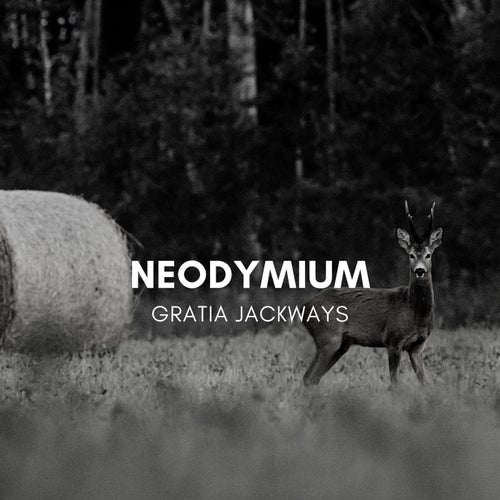 Neodymium