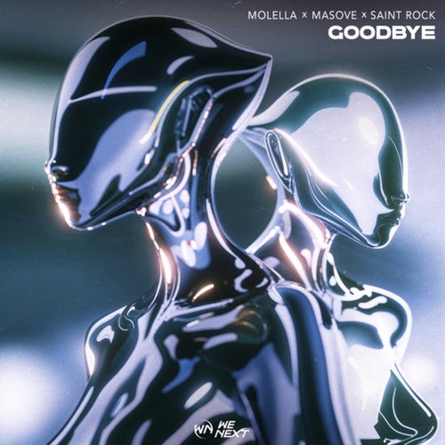 Goodbye (Extended Mix)