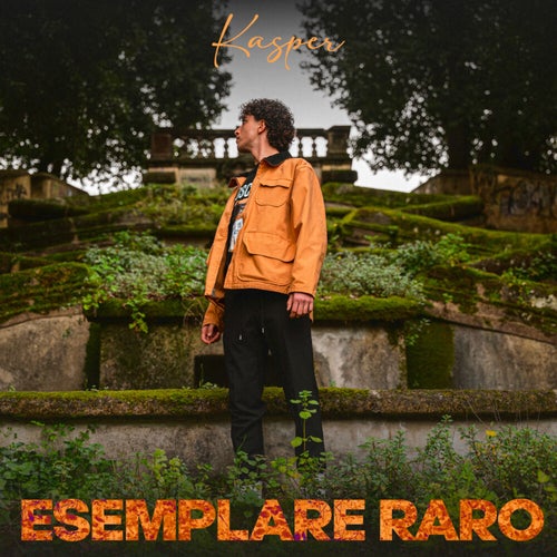Esemplare Raro
