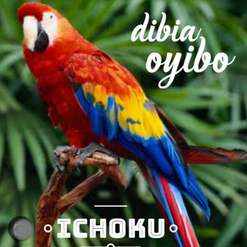 Dibia Oyibo (Live)