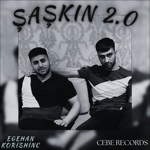 Saskin 2.0