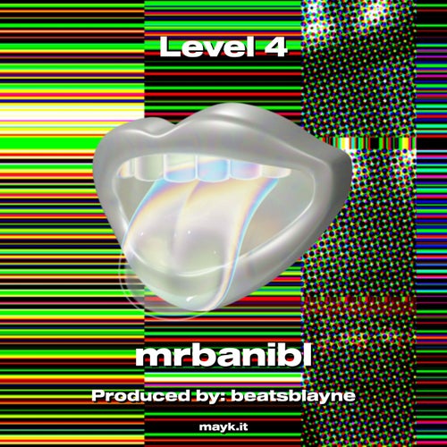 Level 4