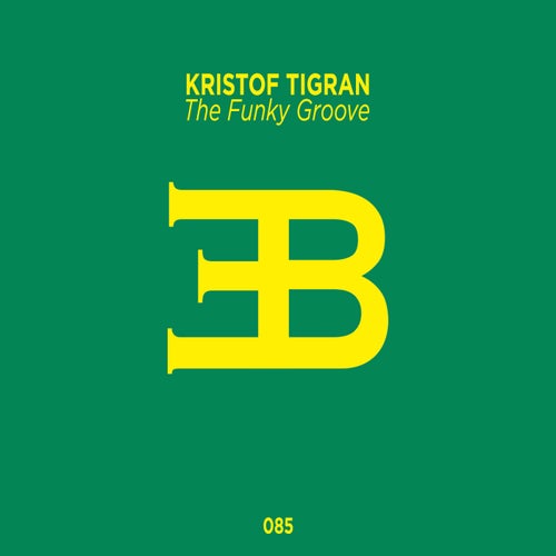 The Funky Groove (Extended Mix)