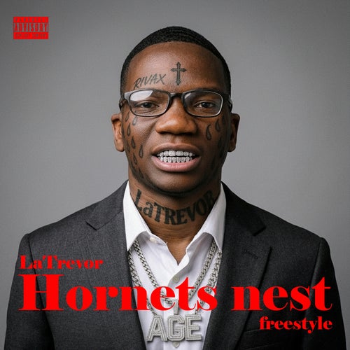 Hornets Nest (Freestyle)