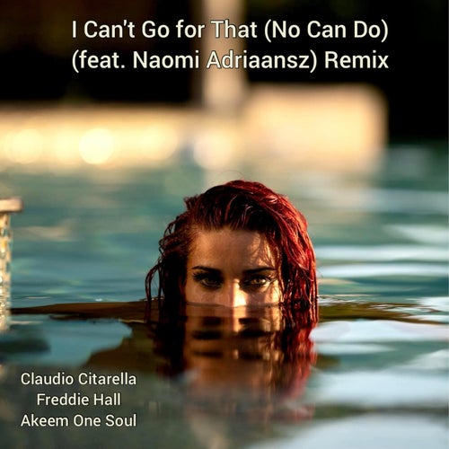 I Can't Go for That (No Can Do) (Remix)