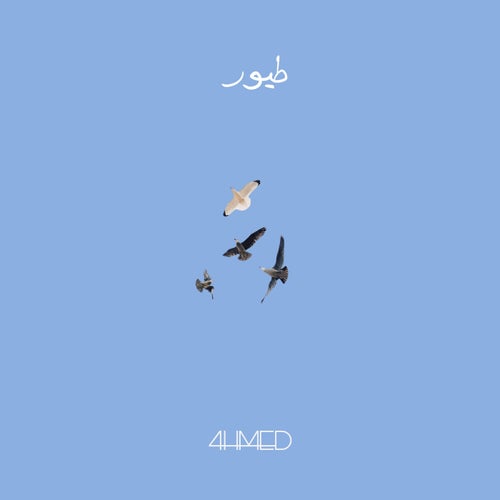 طيور