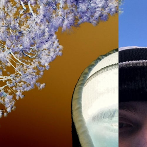 consciousness+vanity