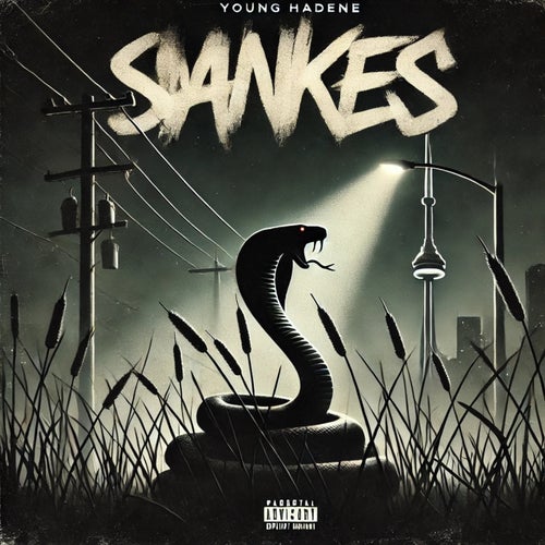 Snakes