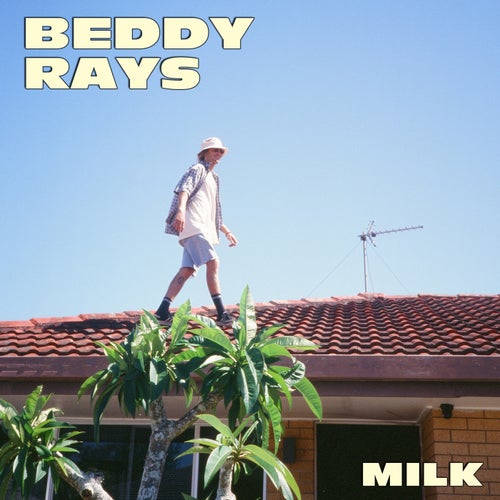 Milk
