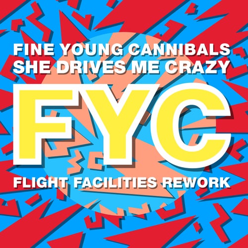 She Drives Me Crazy (Flight Facilities Rework)