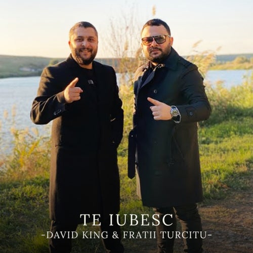 Te iubesc