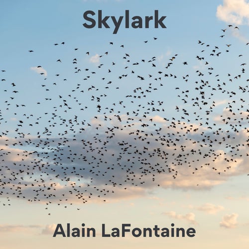 Skylark