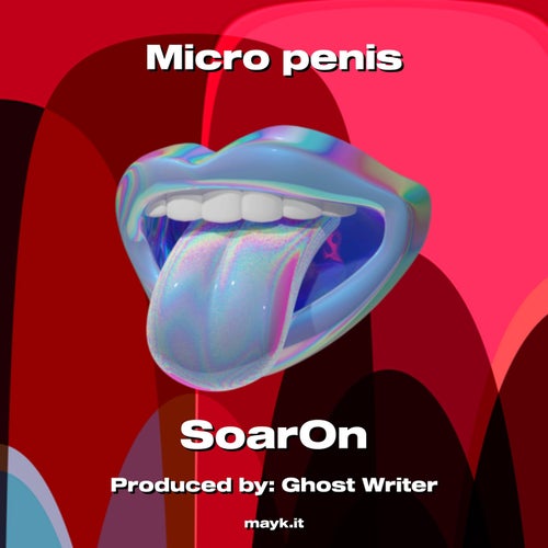 Micro p****
