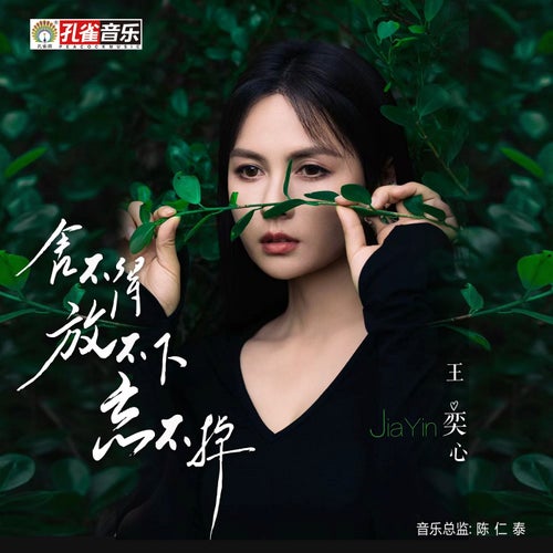 捨不得放不下忘不掉