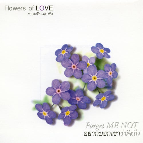 FLOWERS 5 Forget Me Not อยากบอกเขาว่าคิดถึง