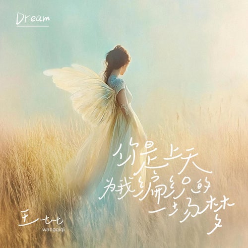 你是上天為我編織的一場夢