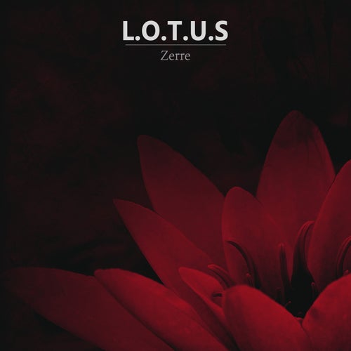 Release of the week