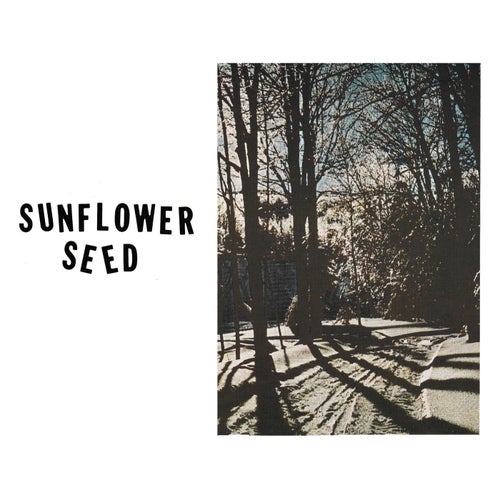 Sunflower Seed