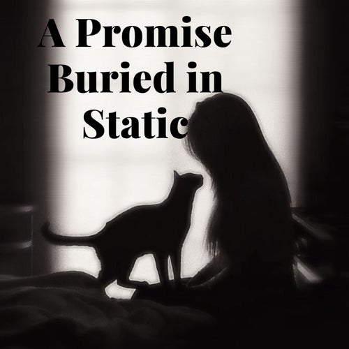 A Promise Buried in Static