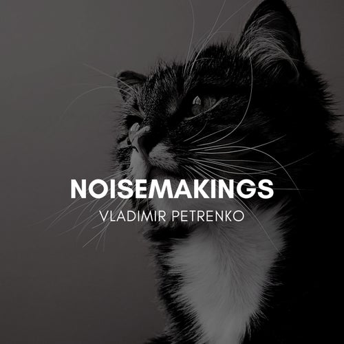Noisemakings