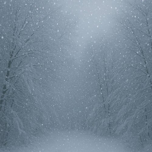 You and the Snow