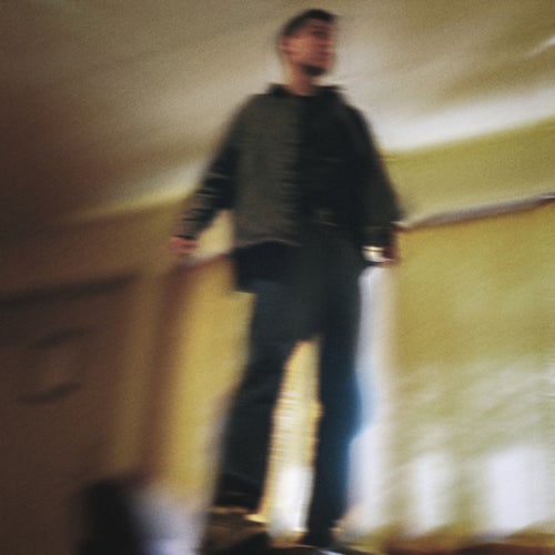 Døgnfluer