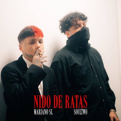 Nido De Ratas