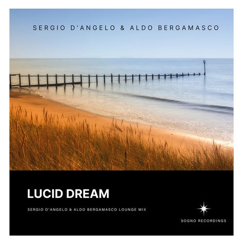 LUCID DREAM