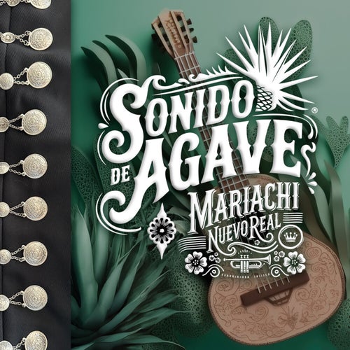 Sonido De Agave