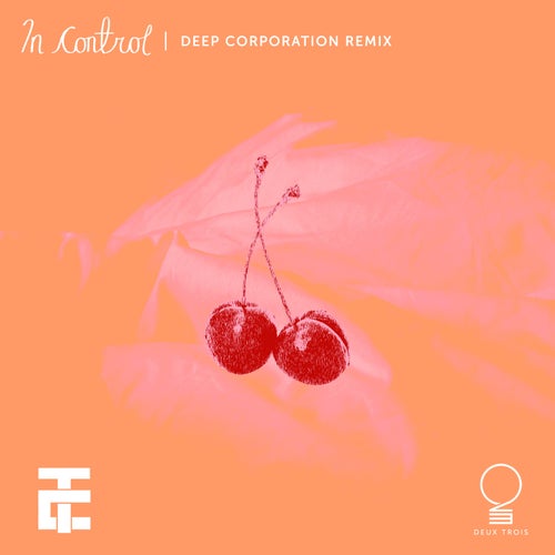 In Control (Deep Corporation Remix)