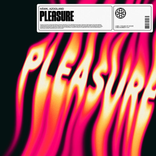 Pleasure (Extended Mix)