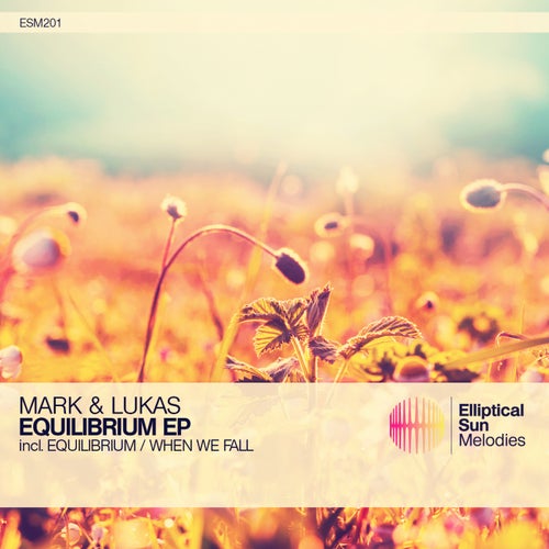 Equilibrium EP