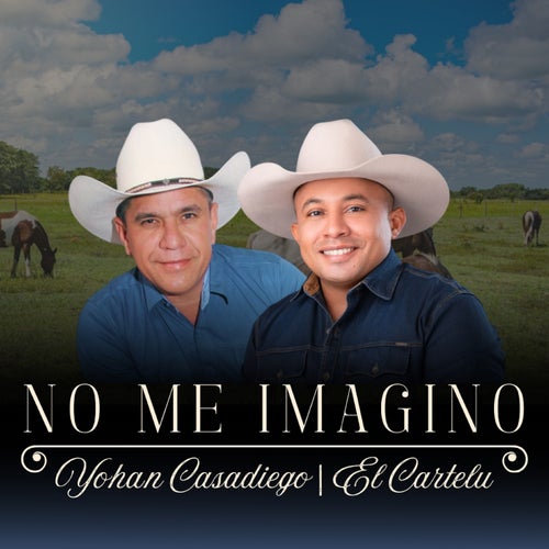 No me Imagino