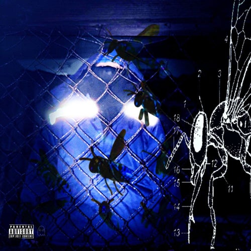Release of the week