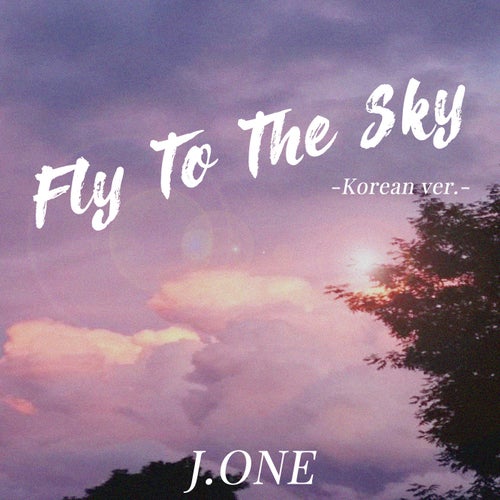 Fly to the sky