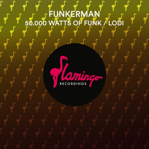 50.000 Watts Of Funk