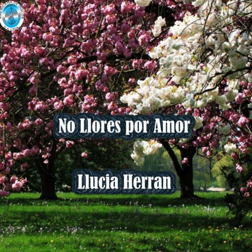 No Llores por Amor