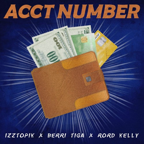 Acct Number (Omalicha)
