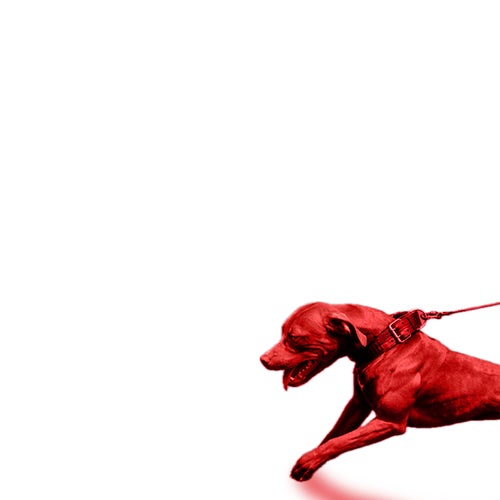 A Hit Dog Gon Holla (Instrumentals)