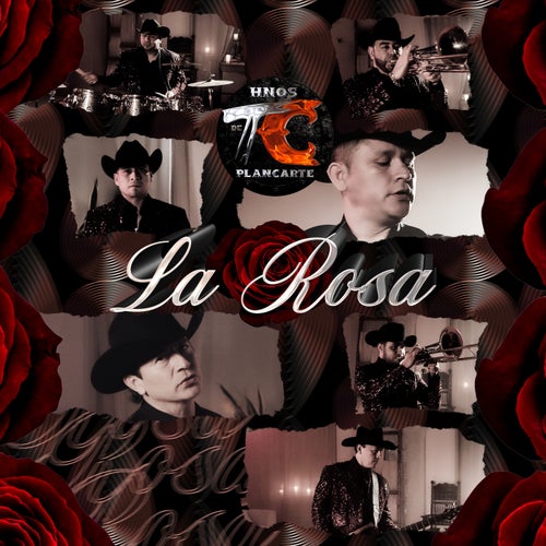 La Rosa