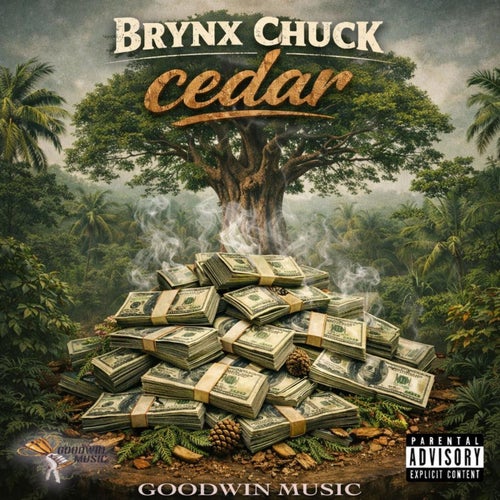 Cedar