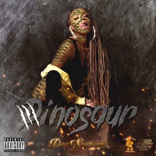 Southern Heat Ent. Profile