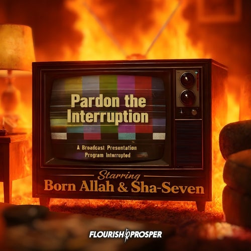Pardon the Interruption