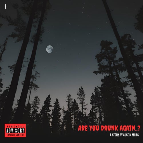 Are You Drunk Again..?