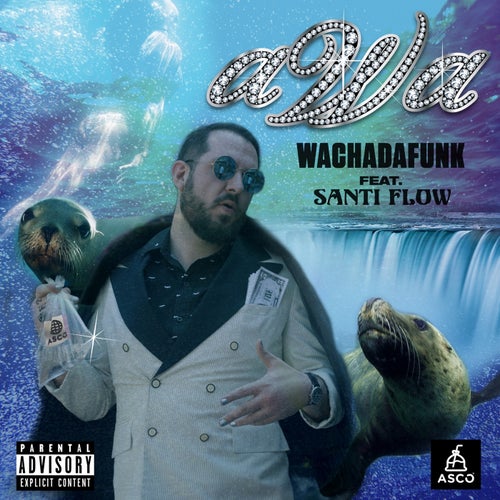 Release of the week