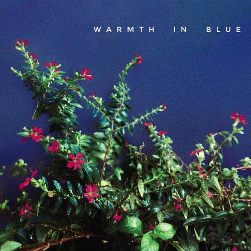Warmth in Blue